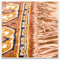 Las Vegas Carpet Cleaning Privacy Policy