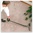 Carpet Steam Cleaning